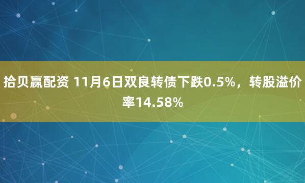 拾贝赢配资 11月6日双良转债下跌0.5%，转股溢价率14.58%